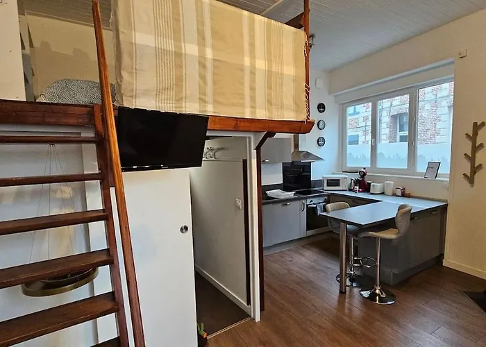 Old Arras Studio Avec Mezzanine
