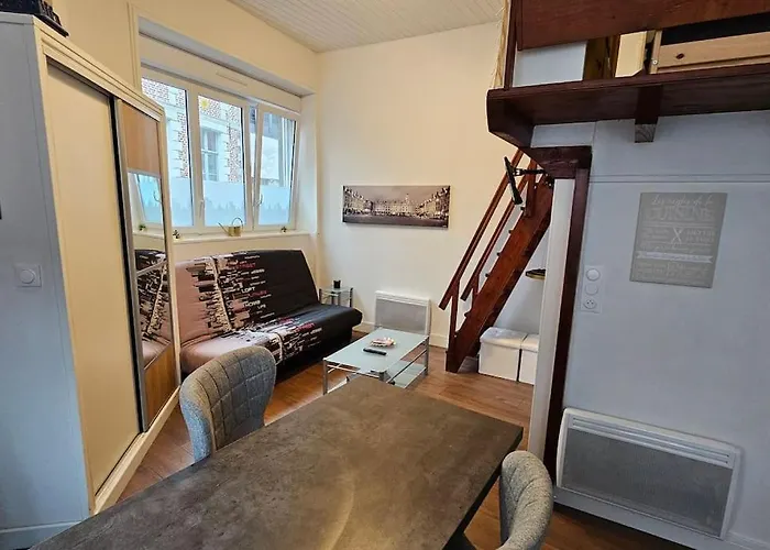 Old Arras Studio Avec Mezzanine